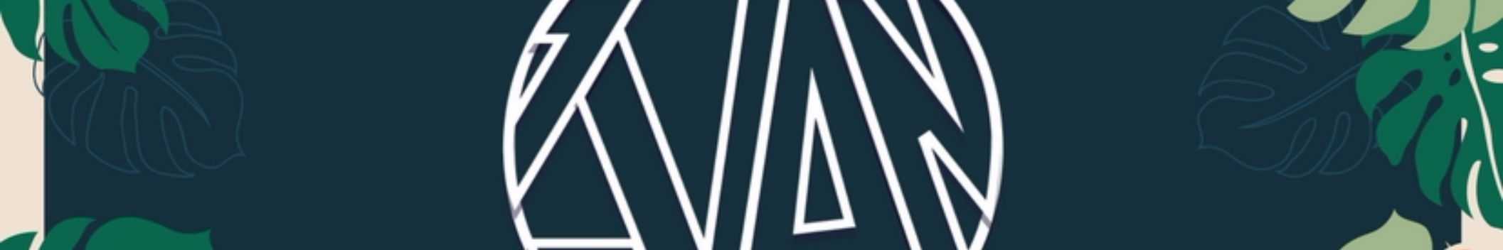 DjZvan