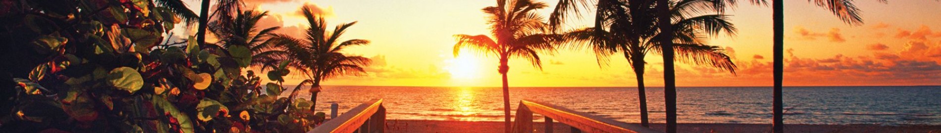 SUNSETY