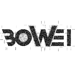 Bowei Zhang