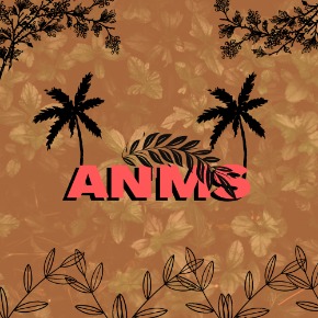 AN'Ms