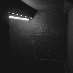 VIRSHVDE