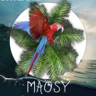 Maosy