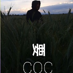 要COC