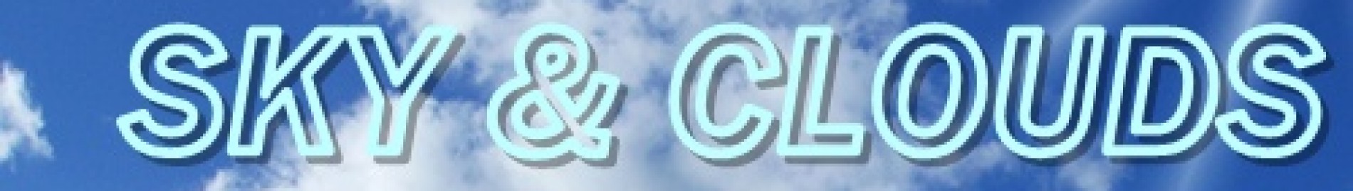 BumX
