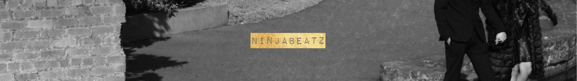 NinjaOnTheBeatz