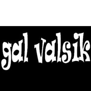Gal Valsik