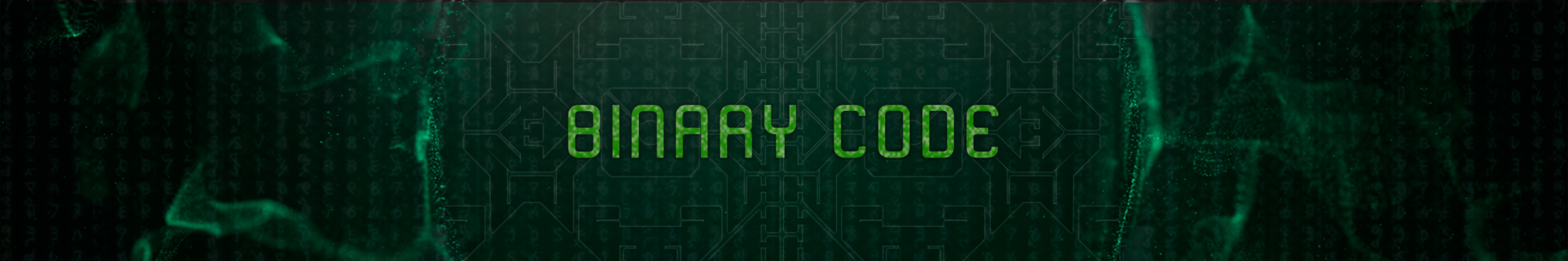 B1NARY C0DE