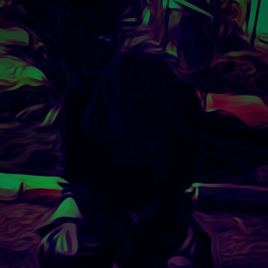 anthonymg121
