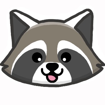 Racoonboi