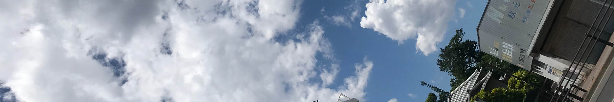 THE L'S EYE