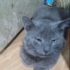Gleb999