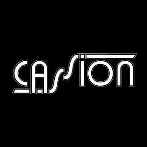 Ca55ion