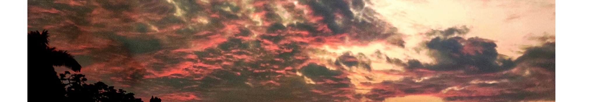 三tnS