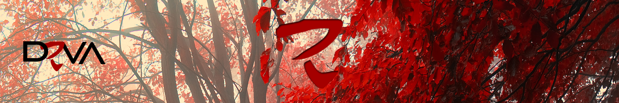 iamDEVA
