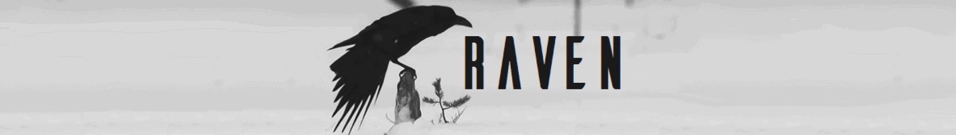R4VEN