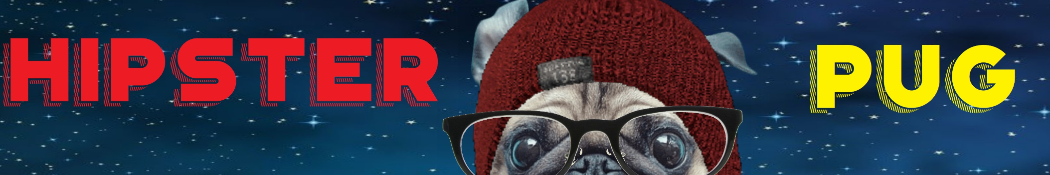 Hipster Pug