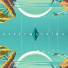 Sleepwalking