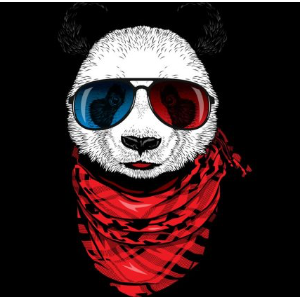 Edgar Allan Poe The Panda