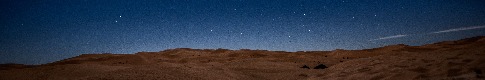Camel Diih