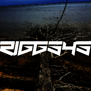 Riggs45