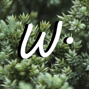 Woshiᴉ