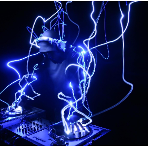 DJSHAKO