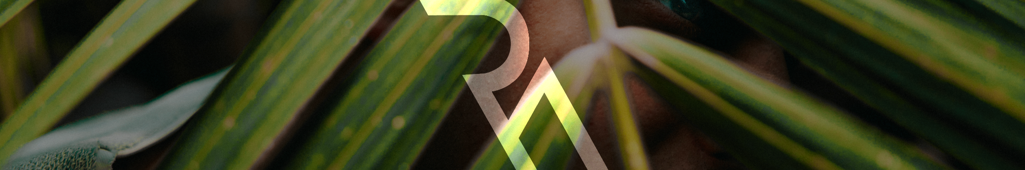 RA