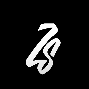 ZondyS