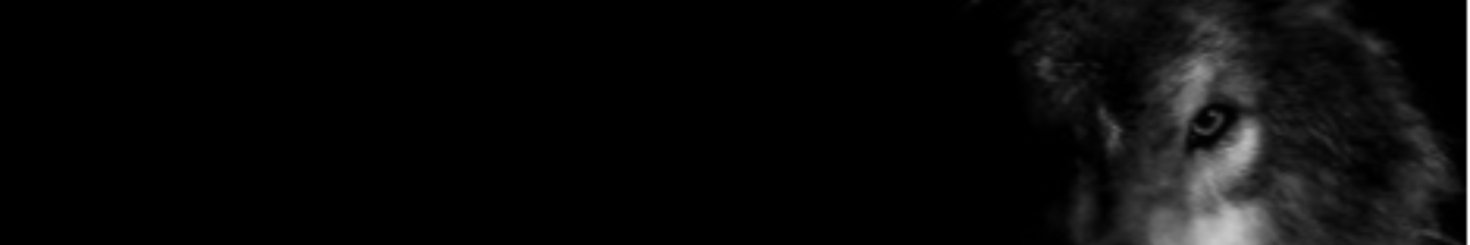 BAZZTOV