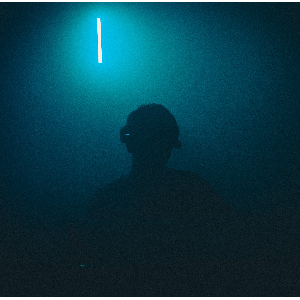F I R E W I L D