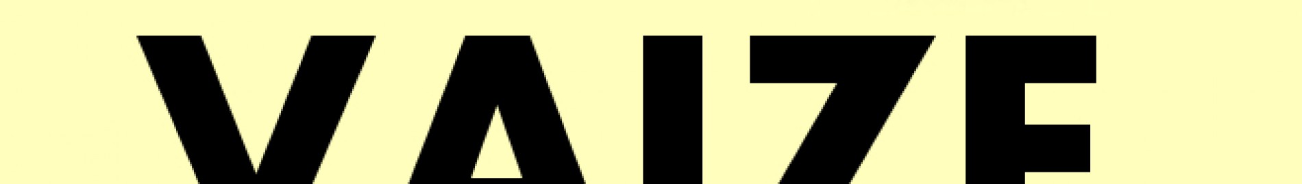 VAIZE