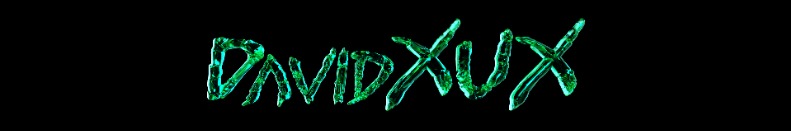 DavidXUX