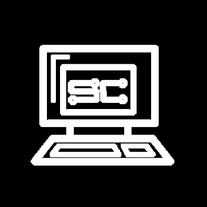 Sentient Computers