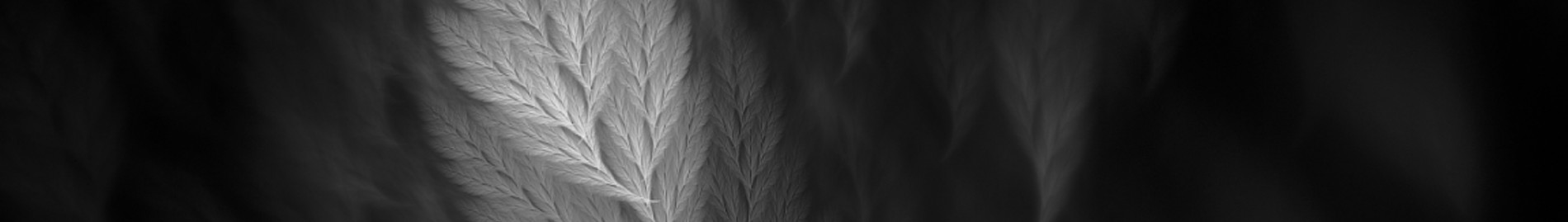 Kai9o9