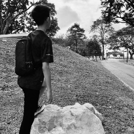 noe_llllll