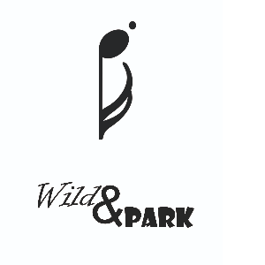Peter Park