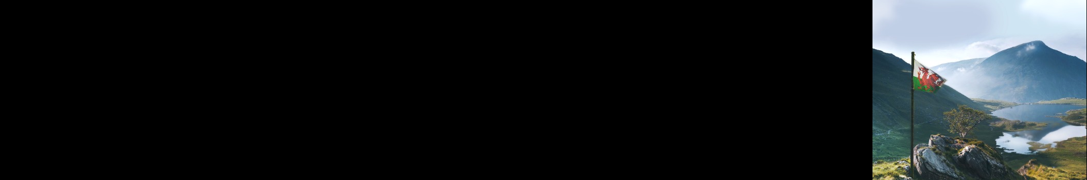 Owzo
