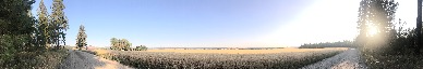 Ekhostorm