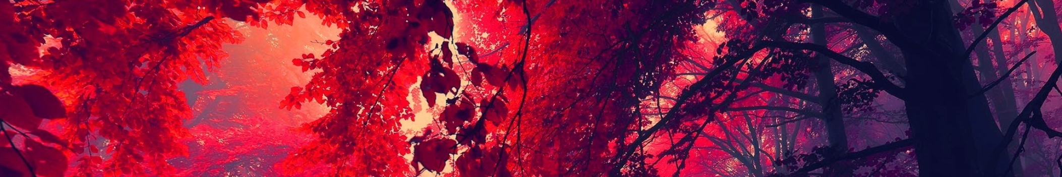 Roze