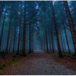 [Fooxave]