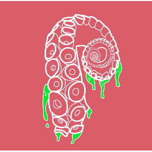 OCTOPOUS