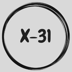 x-31