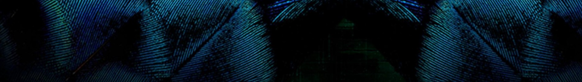R3hab