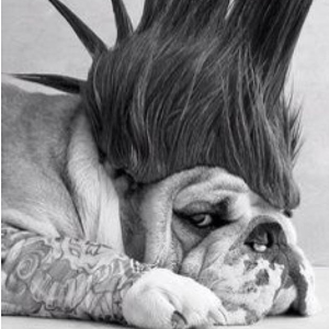 Bullymax