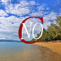 NO C