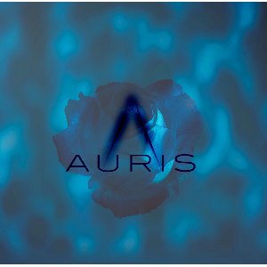 Aurismusic