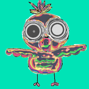 Sokotta