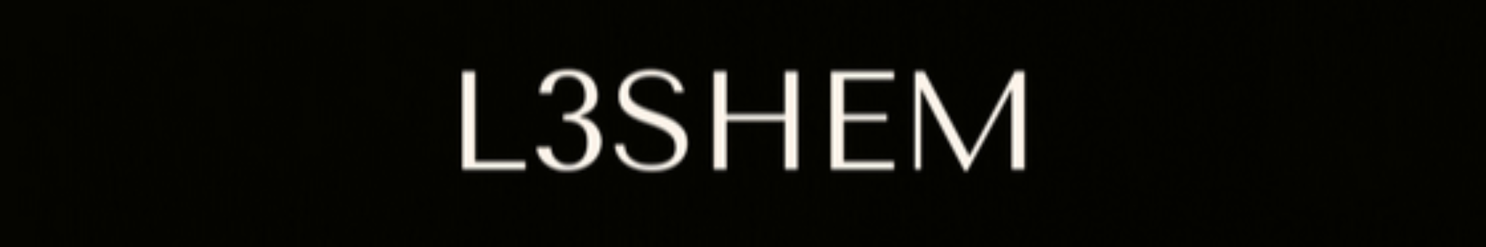 L3SHEM