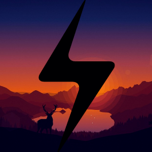 Flashmusic