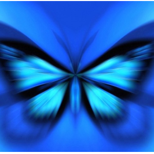 egobutterfly